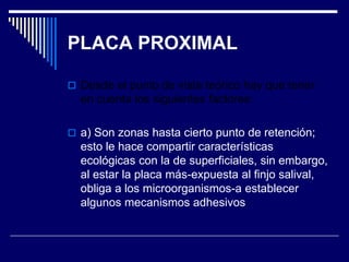 PLACA PROXIMAL
 Desde el punto de vista teórico hay que tener
en cuenta los siguientes factores:
 a) Son zonas hasta cierto punto de retención;
esto le hace compartir características
ecológicas con la de superficiales, sin embargo,
al estar la placa más-expuesta al finjo salival,
obliga a los microorganismos-a establecer
algunos mecanismos adhesivos
 