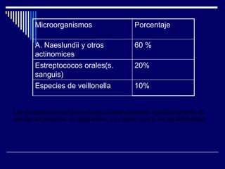 Microorganismos Porcentaje
A. Naeslundii y otros
actinomices
60 %
Estreptococos orales(s.
sanguis)
20%
Especies de veillonella 10%
Los estreptococos del grupo mutans pueden aumentar significativamente de
número en presencia de caries activa, y lo mismo ocurre con los lactobacilos.
 