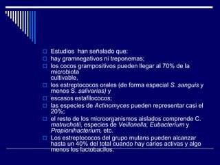  Estudios han señalado que:
 hay gramnegativos ni treponemas;
 los cocos grampositivos pueden llegar al 70% de la
microbiota
cultivable,
 los estreptococos orales (de forma especial S. sanguis y
menos S. salivarías) y
 escasos estafilococos;
 las especies de Actinomyces pueden representar casi el
20%;
 el resto de los microorganismos aislados comprende C.
matruchotii, especies de Veillonella, Eubacteríum y
Propionihacterium, etc.
 Los estreptococos del grupo mutans pueden alcanzar
hasta un 40% del total cuando hay caries activas y algo
menos los lactobacilos.
 
