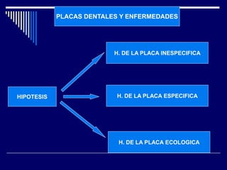 PLACAS DENTALES Y ENFERMEDADES
HIPOTESIS
H. DE LA PLACA INESPECIFICA
H. DE LA PLACA ESPECIFICA
H. DE LA PLACA ECOLOGICA
 