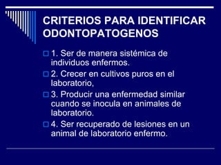 CRITERIOS PARA IDENTIFICAR
ODONTOPATOGENOS
 1. Ser de manera sistémica de
individuos enfermos.
 2. Crecer en cultivos puros en el
laboratorio,
 3. Producir una enfermedad similar
cuando se inocula en animales de
laboratorio.
 4. Ser recuperado de lesiones en un
animal de laboratorio enfermo.
 