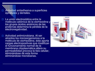  Actividad antiadhesiva a superficies
epiteliales y dentales.
 La unión electrostática entre la
molécula catiónica de la clorhexidina y
los grupos ácidos amónicos de las
proteínas determina la pérdida de la
electronegatividad.
 Actividad antimicrobiana. Al ser
atraídos los microorganismos a la
molécula de clorhexidina, ésta aporta
cargas electropositivas que modifican
el funcionamiento normal de la
membrana citoplasmática altera su
permeabilidad provoca la lisis celular,
eliminándose dé esta forma
eliminándose microbianas.
 