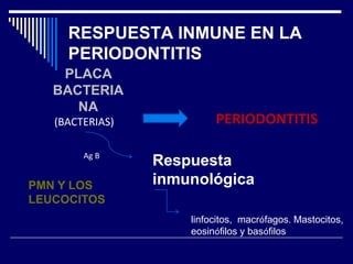 RESPUESTA INMUNE EN LA
PERIODONTITIS
PERIODONTITIS(BACTERIAS)
PLACA
BACTERIA
NA
PMN Y LOS
LEUCOCITOS
linfocitos, macrófagos. Mastocitos,
eosinófilos y basófilos
Respuesta
inmunológica
Ag B
 