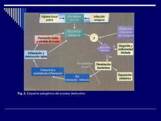 Fig. 2. Esquema patogénico del proceso destructivo.
 