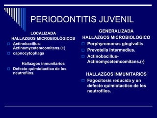 PERIODONTITIS JUVENIL
LOCALIZADA
HALLAZGOS MICROBIOLÓGICOS
 Actinobacillus-
Actinomycetemcomitans.(+)
 capnocytophaga
Hallazgos inmunitarios
 Defecto quimiotactico de los
neutrofilos.
GENERALIZADA
HALLAZGOS MICROBIOLOGICO
 Porphyromonas gingivallis
 Prevotella Intermedius.
 Actinobacillus-
Actinomycetemcomitans.(-)
HALLAZGOS INMUNITARIOS
 Fagocitosis reducida y un
defecto quimiotactico de los
neutrofilos.
 