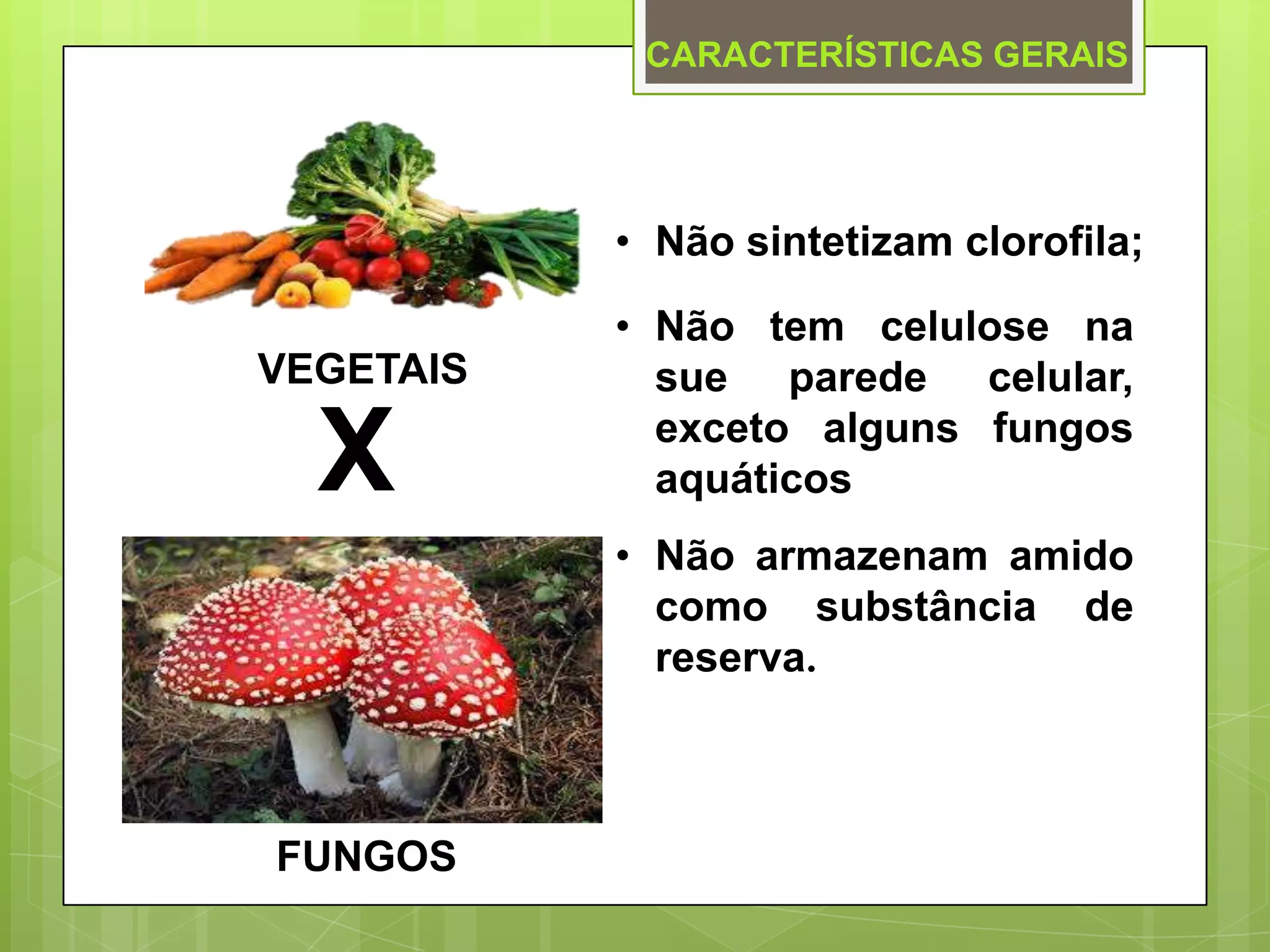 Microbiologia: Fungos na Produção de Alimentos | PPTX