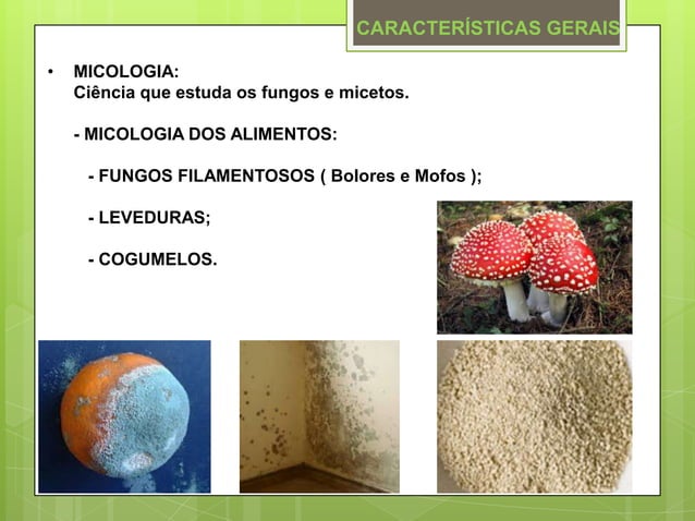 Microbiologia: Fungos na Produção de Alimentos | PPTX