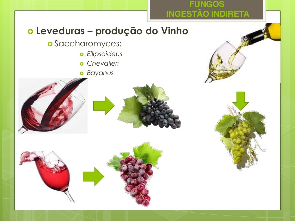 Alimentos Tipicamente Produzidos Com A Participacao Da Bacteria