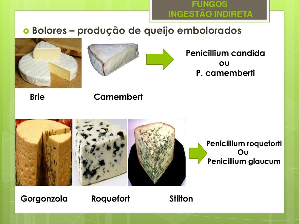 Microbiologia Fungos na Produção de Alimentos Microbiologia Fungos na Produção de Alimentos