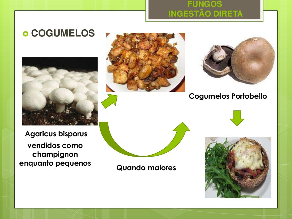 Alimentos Tipicamente Produzidos Com A Participação Da Bacteria