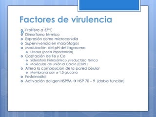 Factores de virulencia

 