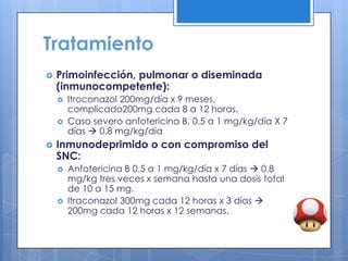 Tratamiento
   Primoinfección, pulmonar o diseminada
    (inmunocompetente):
       Itroconazol 200mg/día x 9 meses,
        complicado200mg cada 8 a 12 horas.
       Caso severo anfotericina B, 0.5 a 1 mg/kg/día X 7
        días  0.8 mg/kg/día
   Inmunodeprimido o con compromiso del
    SNC:
       Anfotericina B 0.5 a 1 mg/kg/día x 7 días  0.8
        mg/kg tres veces x semana hasta una dosis total
        de 10 a 15 mg.
       Itraconazol 300mg cada 12 horas x 3 días 
        200mg cada 12 horas x 12 semanas.
 