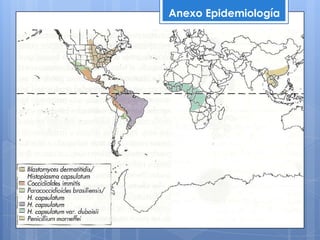 Anexo Epidemiología
 