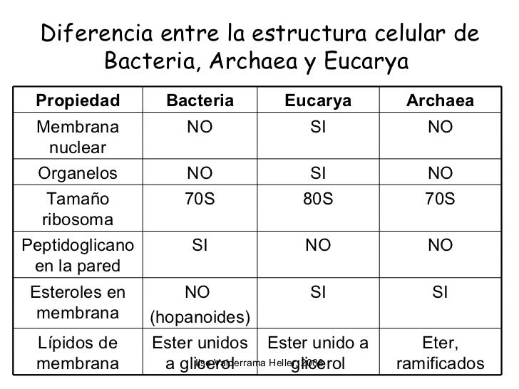 microbiologia generalidades