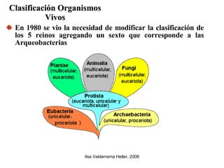 Clasificación Organismos Vivos En 1980 se vio la necesidad de modificar la clasificación de los 5 reinos agregando un sexto que corresponde a las Arqueobacterias 