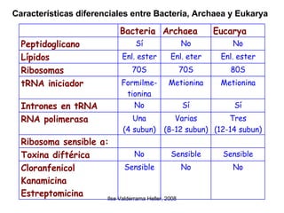 Características diferenciales entre Bacteria, Archaea y Eukarya 