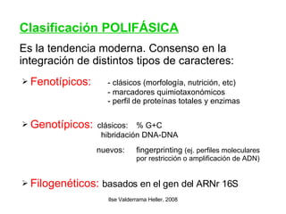 Clasificación POLIFÁSICA Fenotípicos:   - clásicos (morfología, nutrición, etc)  - marcadores quimiotaxonómicos - perfil de proteínas totales y enzimas Filogenéticos:   basados en el gen del ARNr 16S Genotípicos:   clásicos:  % G+C   hibridación DNA-DNA   nuevos:  fingerprinting  (ej. perfiles moleculares  por restricción o amplificación de ADN)‏ Es la tendencia moderna. Consenso en la integración de distintos tipos de caracteres: 