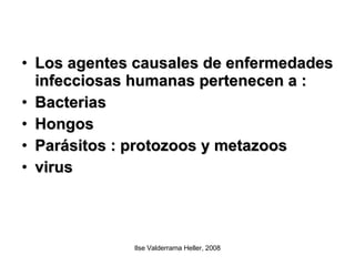 Los agentes causales de enfermedades infecciosas humanas pertenecen a : Bacterias Hongos Parásitos : protozoos y metazoos virus 