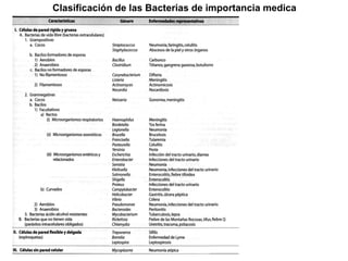 Clasificación de las Bacterias de importancia medica 
