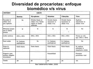 Diversidad de procariotas: enfoque biomédico v/s virus 