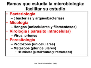 Ramas que estudia la microbiología: facilitar su estudio Bacteriología  ( bacterias y arqueobacterias)‏ Micología Hongos (unicelulares y filamentosos)‏ Virologìa ( parasito intracelular)‏ Virus, priones Parasitologìa Protozoos (unicelulares)‏ Metazoos (pluricelulares)‏ Helmintos (platelmintos y trematodos)‏ 