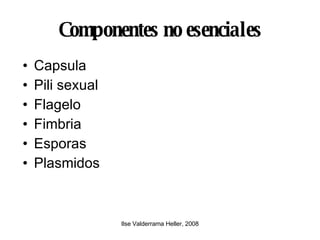 Componentes no esenciales Capsula  Pili sexual Flagelo Fimbria Esporas Plasmidos 