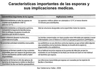 Características importantes de las esporas y sus implicaciones medicas. 