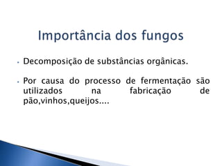 ⦁ Decomposição de substâncias orgânicas.
⦁ Por causa do processo de fermentação são
utilizados na fabricação de
pão,vinhos,queijos....
 