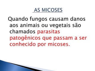 Quando fungos causam danos
aos animais ou vegetais são
chamados parasitas
patogênicos que passam a ser
conhecido por micoses.
 