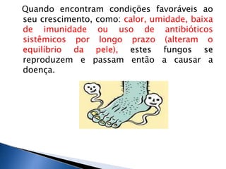 Quando encontram condições favoráveis ao
seu crescimento, como: calor, umidade, baixa
de imunidade ou uso de antibióticos
sistêmicos por longo prazo (alteram o
equilíbrio da pele), estes fungos se
reproduzem e passam então a causar a
doença.
 
