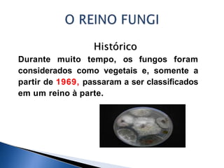 Histórico
Durante muito tempo, os fungos foram
considerados como vegetais e, somente a
partir de 1969, passaram a ser classificados
em um reino à parte.
 