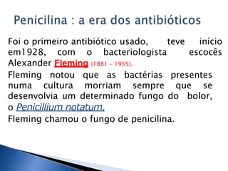 Foi o primeiro antibiótico usado, teve início
em1928, com o bacteriologista escocês
Alexander Fleming (1881 - 1955).
Fleming notou que as bactérias presentes
numa cultura morriam sempre que se
desenvolvia um determinado fungo do bolor,
o Penicillium notatum.
Fleming chamou o fungo de penicilina.
 