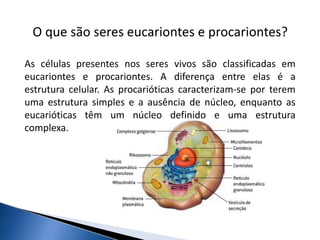O que são seres eucariontes e procariontes?
As células presentes nos seres vivos são classificadas em
eucariontes e procariontes. A diferença entre elas é a
estrutura celular. As procarióticas caracterizam-se por terem
uma estrutura simples e a ausência de núcleo, enquanto as
eucarióticas têm um núcleo definido e uma estrutura
complexa.
 