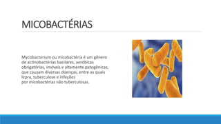 MICOBACTÉRIAS
Mycobacterium ou micobactéria é um gênero
de actinobactérias bacilares, aeróbicas
obrigatórias, imóveis e altamente patogênicas,
que causam diversas doenças, entre as quais
lepra, tuberculose e infeções
por micobactérias não tuberculosas.
 