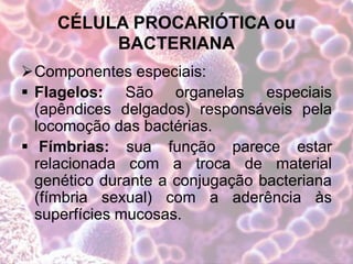 CÉLULA PROCARIÓTICA ou
BACTERIANA
Componentes especiais:
 Flagelos: São organelas especiais
(apêndices delgados) responsáveis pela
locomoção das bactérias.
 Fímbrias: sua função parece estar
relacionada com a troca de material
genético durante a conjugação bacteriana
(fímbria sexual) com a aderência às
superfícies mucosas.
 
