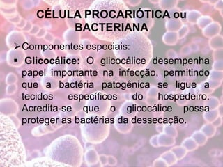 CÉLULA PROCARIÓTICA ou
BACTERIANA
Componentes especiais:
 Glicocálice: O glicocálice desempenha
papel importante na infecção, permitindo
que a bactéria patogênica se ligue a
tecidos específicos do hospedeiro.
Acredita-se que o glicocálice possa
proteger as bactérias da dessecação.
 