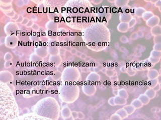 CÉLULA PROCARIÓTICA ou
BACTERIANA
Fisiologia Bacteriana:
 Nutrição: classificam-se em:
• Autotróficas: sintetizam suas próprias
substâncias.
• Heterotróficas: necessitam de substancias
para nutrir-se.
 