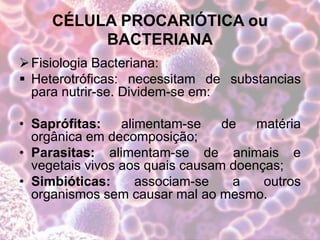 CÉLULA PROCARIÓTICA ou
BACTERIANA
Fisiologia Bacteriana:
 Heterotróficas: necessitam de substancias
para nutrir-se. Dividem-se em:
• Saprófitas: alimentam-se de matéria
orgânica em decomposição;
• Parasitas: alimentam-se de animais e
vegetais vivos aos quais causam doenças;
• Simbióticas: associam-se a outros
organismos sem causar mal ao mesmo.
 