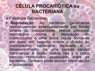CÉLULA PROCARIÓTICA ou
BACTERIANA
Fisiologia Bacteriana:
 Reprodução: As bactérias geralmente
reproduzem-se assexuadamente por fissão
binária ou cissiparidade. Nesse processo
reprodutivo ocorre à replicação do
cromossomo e uma única célula divide-se
em duas; em seguida ocorre a divisão do
cromossomo bacteriano replicado e o
desenvolvimento de uma parede celular
transversal. A fissão binária não é o único
método reprodutivo assexuado entre as
bactérias. Também pode ocorrer esporulação
e brotamento.
 