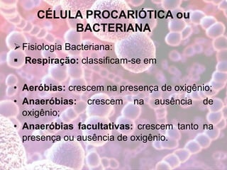 CÉLULA PROCARIÓTICA ou
BACTERIANA
Fisiologia Bacteriana:
 Respiração: classificam-se em
• Aeróbias: crescem na presença de oxigênio;
• Anaeróbias: crescem na ausência de
oxigênio;
• Anaeróbias facultativas: crescem tanto na
presença ou ausência de oxigênio.
 