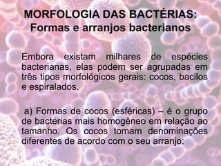 MORFOLOGIA DAS BACTÉRIAS:
Formas e arranjos bacterianos
Embora existam milhares de espécies
bacterianas, elas podem ser agrupadas em
três tipos morfológicos gerais: cocos, bacilos
e espiralados.
a) Formas de cocos (esféricas) – é o grupo
de bactérias mais homogêneo em relação ao
tamanho. Os cocos tomam denominações
diferentes de acordo com o seu arranjo:
 