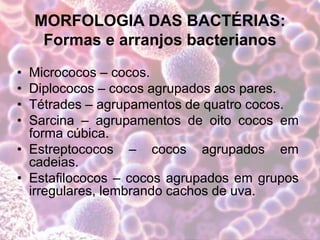 MORFOLOGIA DAS BACTÉRIAS:
Formas e arranjos bacterianos
• Micrococos – cocos.
• Diplococos – cocos agrupados aos pares.
• Tétrades – agrupamentos de quatro cocos.
• Sarcina – agrupamentos de oito cocos em
forma cúbica.
• Estreptococos – cocos agrupados em
cadeias.
• Estafilococos – cocos agrupados em grupos
irregulares, lembrando cachos de uva.
 