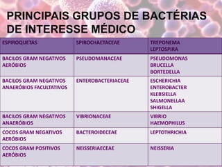 PRINCIPAIS GRUPOS DE BACTÉRIAS
DE INTERESSE MÉDICO
ESPIROQUETAS SPIROCHAETACEAE TREPONEMA
LEPTOSPIRA
BACILOS GRAM NEGATIVOS
AERÓBIOS
PSEUDOMANACEAE PSEUDOMONAS
BRUCELLA
BORTEDELLA
BACILOS GRAM NEGATIVOS
ANAERÓBIOS FACULTATIVOS
ENTEROBACTERIACEAE ESCHERICHIA
ENTEROBACTER
KLEBSIELLA
SALMONELLAA
SHIGELLA
BACILOS GRAM NEGATIVOS
ANAERÓBIOS
VIBRIONACEAE VIBRIO
HAEMOPHILUS
COCOS GRAM NEGATIVOS
AERÓBIOS
BACTEROIDECEAE LEPTOTHRICHIA
COCOS GRAM POSITIVOS
AERÓBIOS
NEISSERIAECEAE NEISSERIA
 