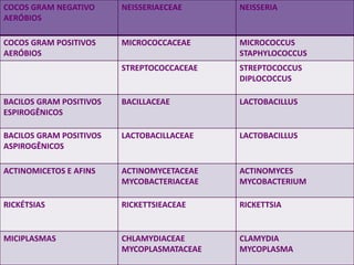 COCOS GRAM NEGATIVO
AERÓBIOS
NEISSERIAECEAE NEISSERIA
COCOS GRAM POSITIVOS
AERÓBIOS
MICROCOCCACEAE MICROCOCCUS
STAPHYLOCOCCUS
STREPTOCOCCACEAE STREPTOCOCCUS
DIPLOCOCCUS
BACILOS GRAM POSITIVOS
ESPIROGÊNICOS
BACILLACEAE LACTOBACILLUS
BACILOS GRAM POSITIVOS
ASPIROGÊNICOS
LACTOBACILLACEAE LACTOBACILLUS
ACTINOMICETOS E AFINS ACTINOMYCETACEAE
MYCOBACTERIACEAE
ACTINOMYCES
MYCOBACTERIUM
RICKÉTSIAS RICKETTSIEACEAE RICKETTSIA
MICIPLASMAS CHLAMYDIACEAE
MYCOPLASMATACEAE
CLAMYDIA
MYCOPLASMA
 
