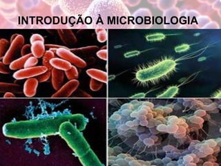 INTRODUÇÃO À MICROBIOLOGIA
 