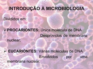 INTRODUÇÃO À MICROBIOLOGIA
Divididos em:
PROCARIONTES: Única molécula de DNA
Desprovidos de membrana
nuclear;
 EUCARIONTES: Várias moléculas de DNA
Envolvidos por uma
membrana nuclear.
 