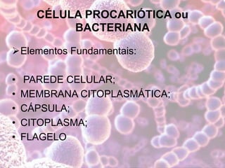 CÉLULA PROCARIÓTICA ou
BACTERIANA
Elementos Fundamentais:
• PAREDE CELULAR;
• MEMBRANA CITOPLASMÁTICA;
• CÁPSULA;
• CITOPLASMA;
• FLAGELO
 