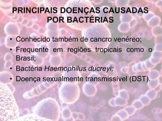 PRINCIPAIS DOENÇAS CAUSADAS
POR BACTÉRIAS
• Conhecido também de cancro venéreo;
• Frequente em regiões tropicais como o
Brasil;
• Bactéria Haemophilus ducreyi;
• Doença sexualmente transmissível (DST).
 