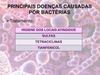 PRINCIPAIS DOENÇAS CAUSADAS
POR BACTÉRIAS
Tratamento:
HIGIENE DOS LOCAIS ATINGIDOS
SULFAS
TETRACICLINAS
TIANFENICOL
 