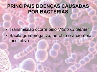 PRINCIPAIS DOENÇAS CAUSADAS
POR BACTÉRIAS
• Transmissão ocorre pelo Vibrio Cholerae;
• Bacilo gram-negativo, aeróbio e anaeróbio
facultativo
 